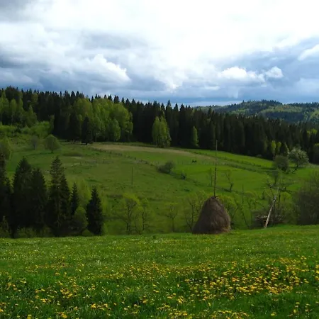 полонянка Апартаменты Bukovinka