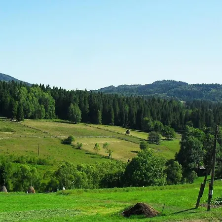 полонянка Апартаменты Bukovinka