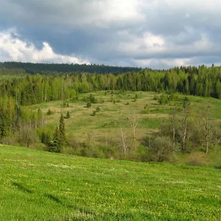 Апартаменты полонянка